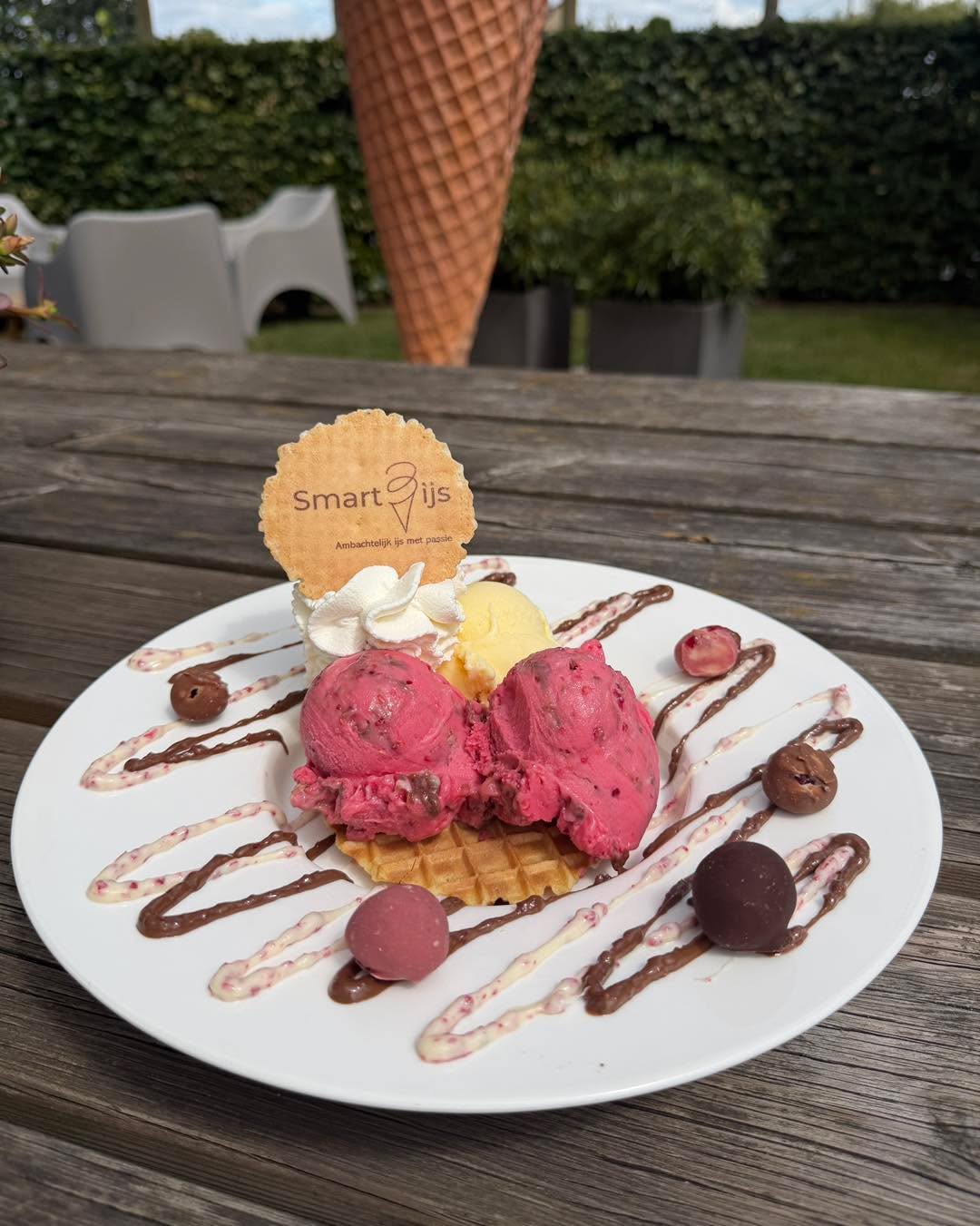 Nieuwe suggestie: Coupe Franui 
Voor de echte Franui-lovers: dit wil je niet missen! 🍨🍫

#smartijs #genieten